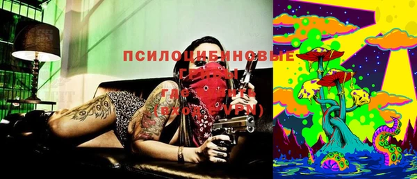 Альфа ПВП Алексин