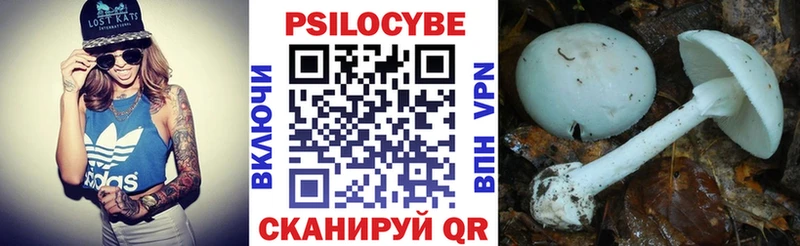 Псилоцибиновые грибы прущие грибы  Азнакаево 